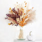 Pampa naturelle sechee | Natural Dried Pampas