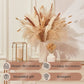 Pampa naturelle sechee | Natural Dried Pampas