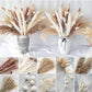 Pampa naturelle sechee | Natural Dried Pampas