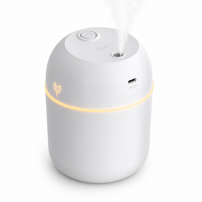 220ML Aroma Humidifier